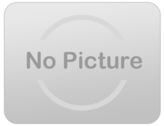 8 inch White Paper Treat Sticks 50 Ct